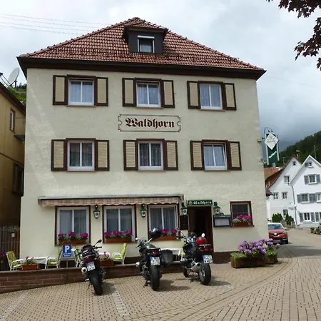 Hotel Waldhorn